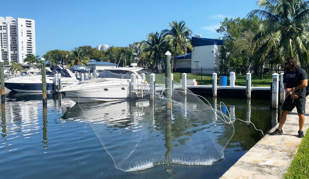 jujutackle's tweet image. It’s make bait or go home. #castnet