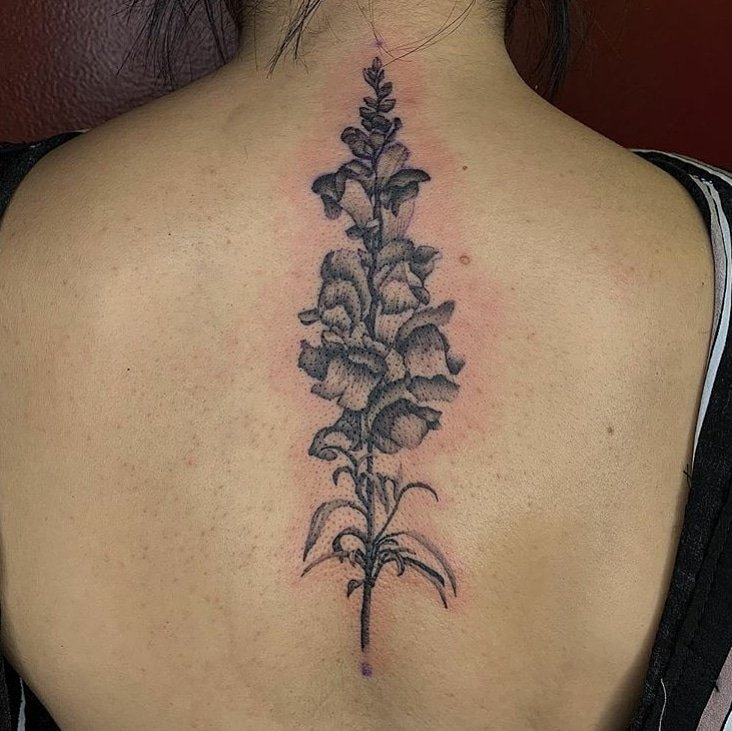 snapdragon tattoo dallasTikTok Search