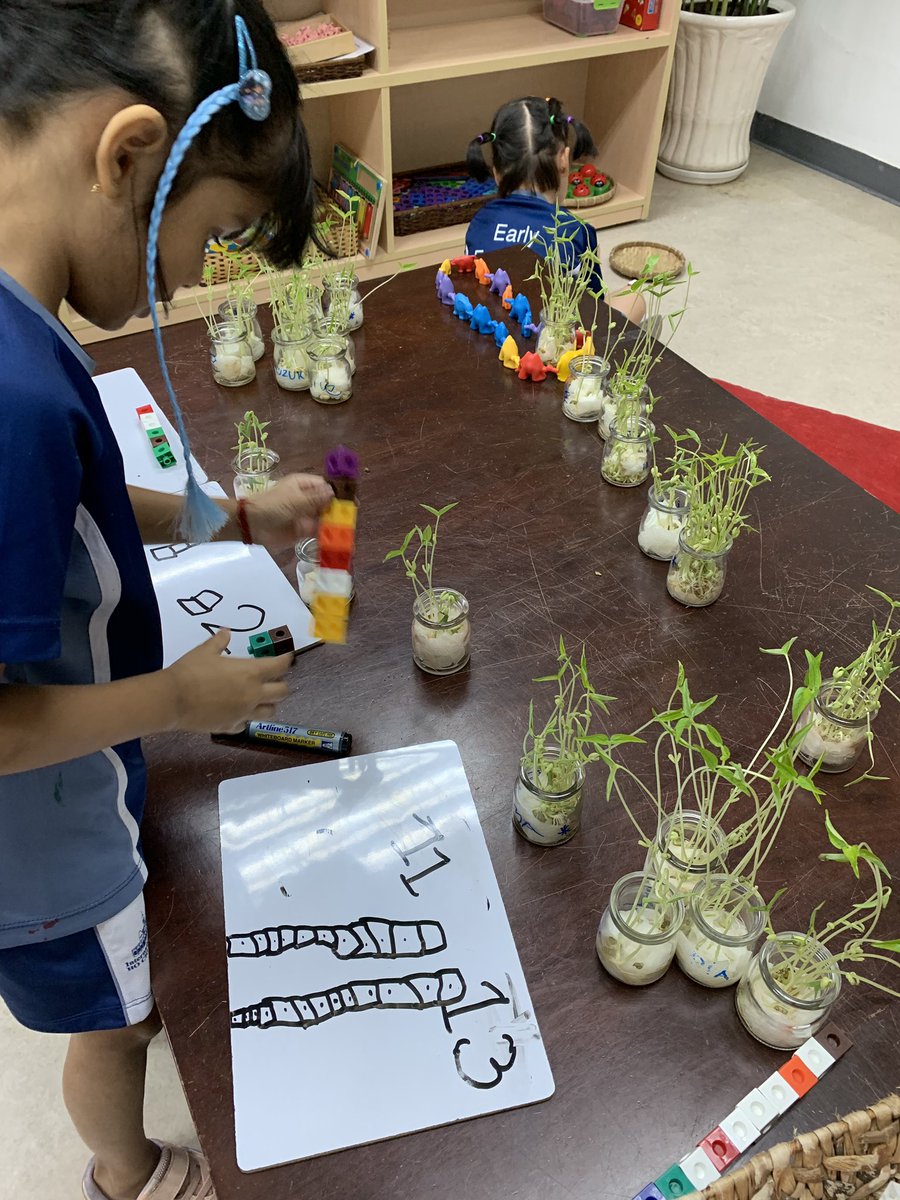 She said her plant was tall. I showed her how unit cubes can help her measure. She took off using symbols, one-to-one, estimation and grouping to explore the plants. Interest, investment and investigation.  #cognitaway #ishcmcib