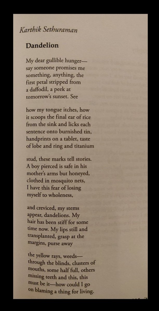 happy to have my poem Dandelion in <a href="/comstockreview/">The Comstock Review</a> 💜🌼

it's currently the last poem in my work-in-progress manuscript -- glad it's found a special home