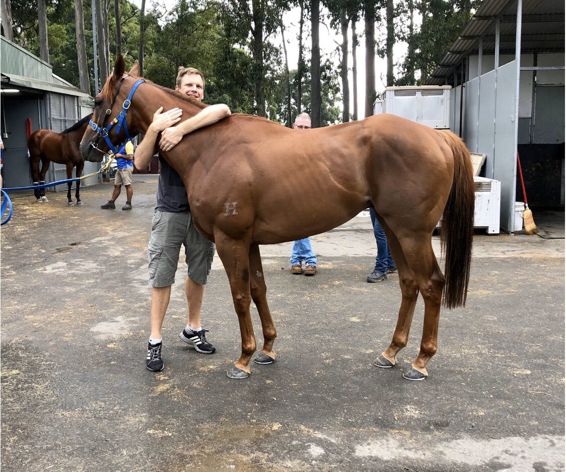 It’s unfortunate Gr. 1 winning Samadoubt has picked up an injury. He has been fit, strong &amp; ultra consistent for 5 seasons &amp; unfortunately like any elite athlete, sometimes injuries happen. He’ll head out for an extended break &amp; return when 100%