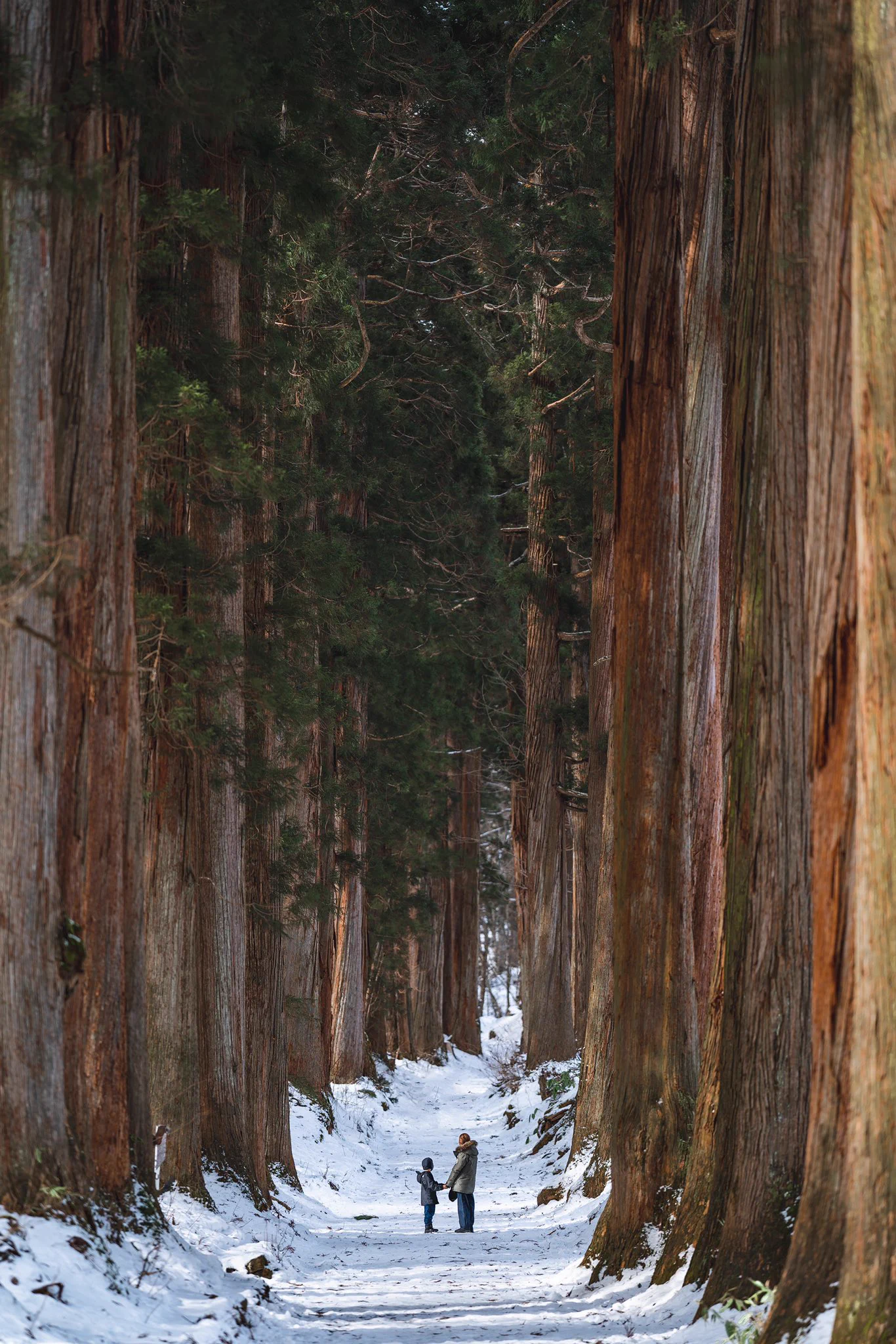 長野県「戸隠神社」の赤い門をくぐった先が異空間すぎて震えた!!!!!