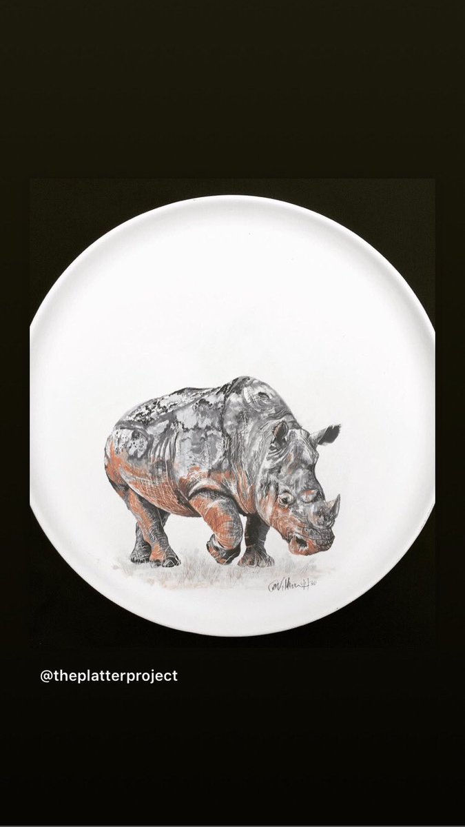 The Platter Project tweet media