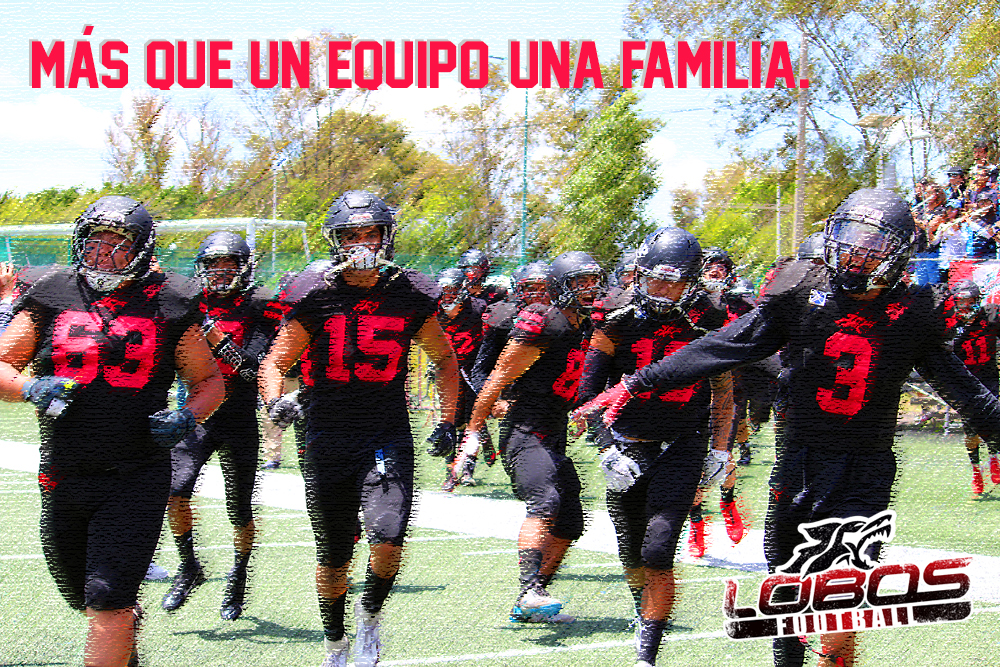 FBALobosBuap's tweet photo. EL CÓDIGO EN UNA MANADA ES:
1. Protege a tu familia
2. Enseña a los más jóvenes
3. Sé  fiel a tus amigos
4. Trabaja en equipo
5. Expresa tu opinión 
6. Mantén tu posición 
7. Siempre deja huella

En #LobosFootball aplicamos éste código.
#SomosLobos #SomosFootball https://t.co/BL4zbyMmoT