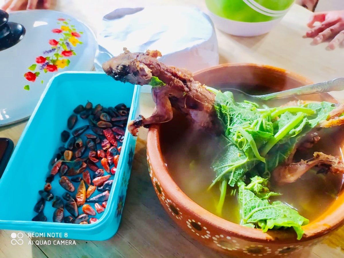 XunGabriel27's tweet photo. Un típico #CALDODERATA de oxchuc, gastronomía ancestral.
No confundir con (CALDO DE POLÍTICOS) @MarkoCortes #GarciaLuna @FelipeCalderon @VicenteFoxQue @ManuelVelasco_ el típico platillo del municipio indígena de oxchuc, fomentamos nuestra gastronomía. https://t.co/IuXadN2dhb