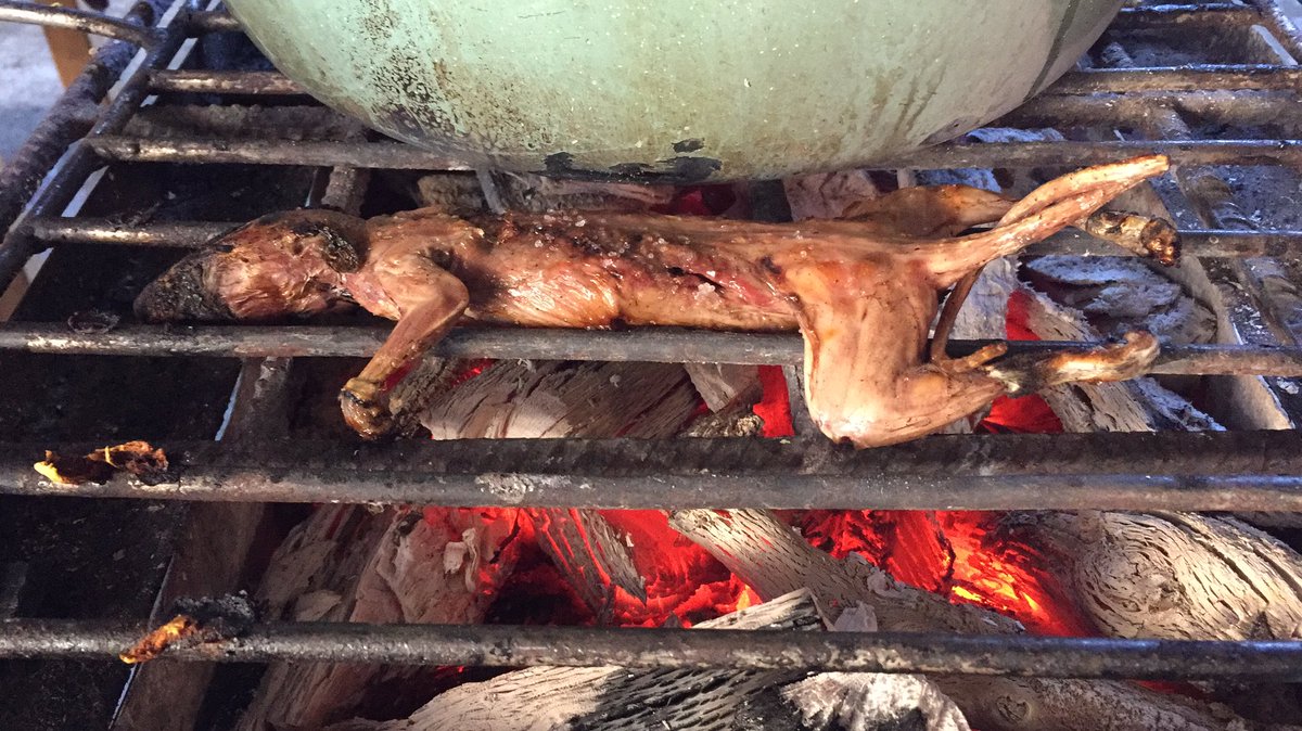 XunGabriel27's tweet photo. Un típico #CALDODERATA de oxchuc, gastronomía ancestral.
No confundir con (CALDO DE POLÍTICOS) @MarkoCortes #GarciaLuna @FelipeCalderon @VicenteFoxQue @ManuelVelasco_ el típico platillo del municipio indígena de oxchuc, fomentamos nuestra gastronomía. https://t.co/IuXadN2dhb