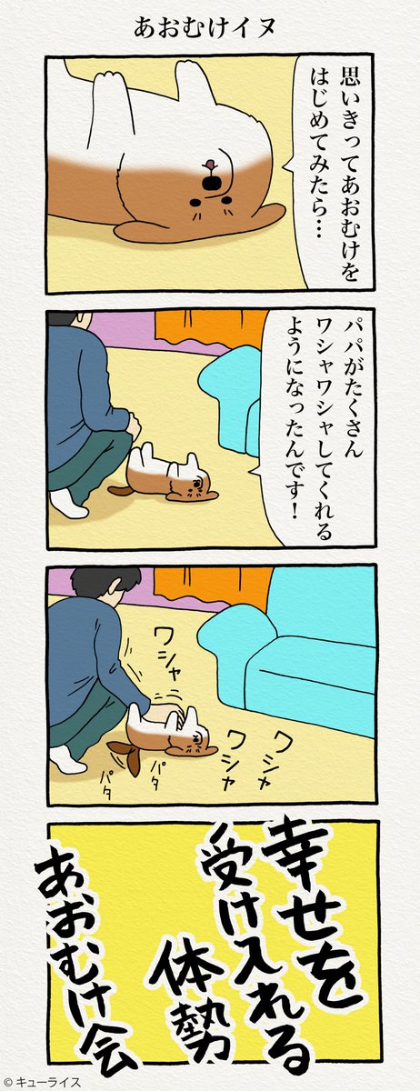 4コマ漫画「あおむけイヌ」 