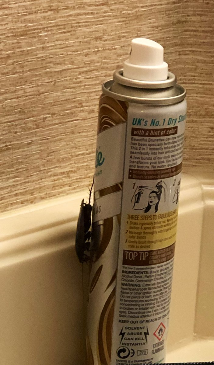 erica_didonato's tweet photo. How the F am I going to sleep?!?! This guy was vacuumed from my hotel room bathroom. I hope he was a loner! #marriottfail #notfeelingelite @Marriott 🤮🤢🤮 https://t.co/ecve01Kn7M