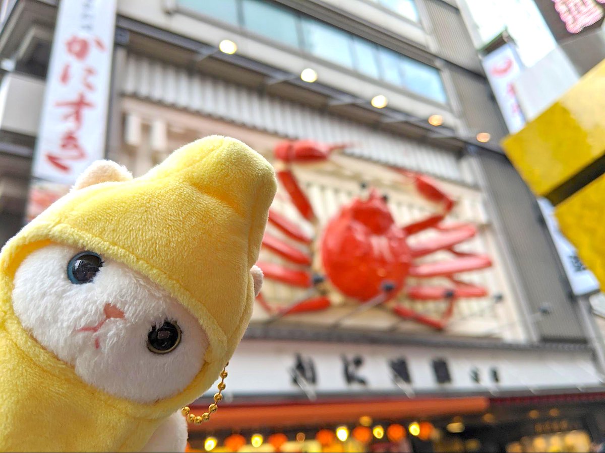 Choo Choo本舗 大阪 の有名スポット カニ道楽の前でパシャり カニの看板が思っているよりも大きくてびっくりした そして さすがミナミ 人が多い でも楽しい 大阪を満喫して大満足でした 猫 猫グッズ Choochoo本舗 難波 大阪 大阪観光