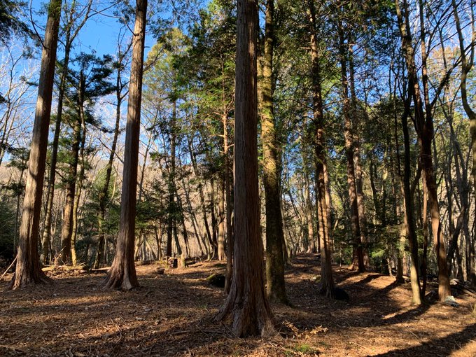 Twitterのコスプレ画像42