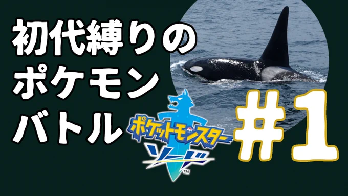 ▼お知らせ▼
19:30～21:00の枠でポケモン配信します。

【初心者】初代縛りのポケモンバトル#1【実況】
 