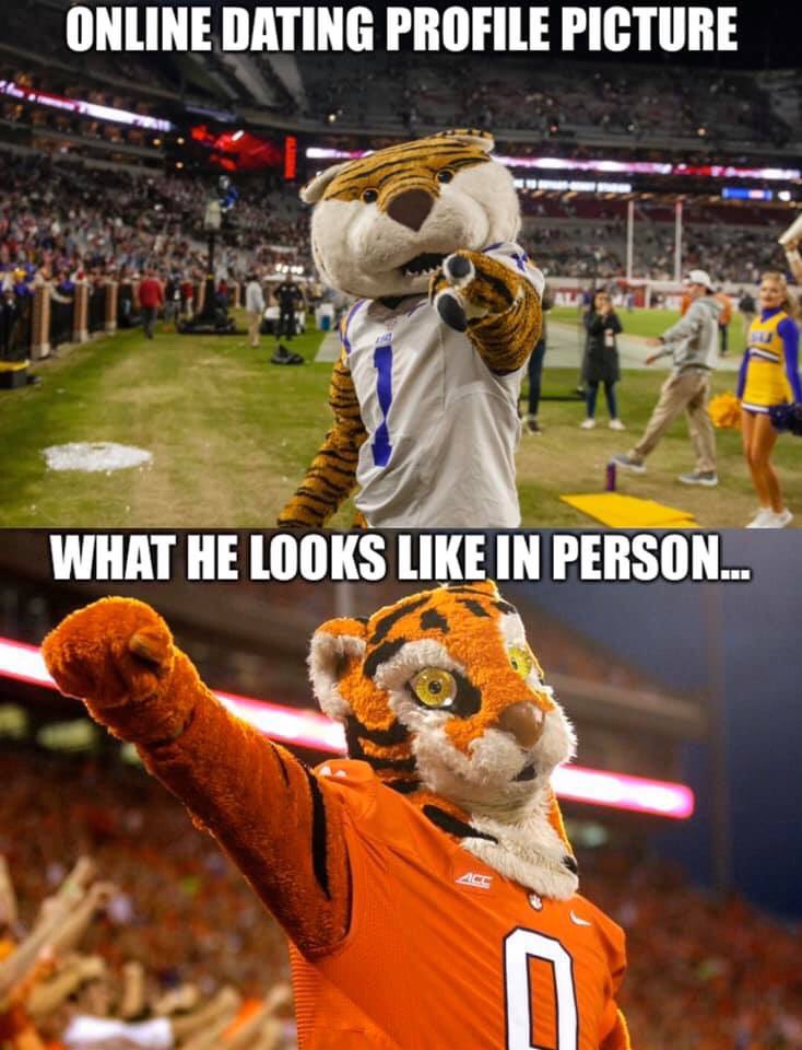 These Clemson Tiger mascot memes got me falling over laughing!! 