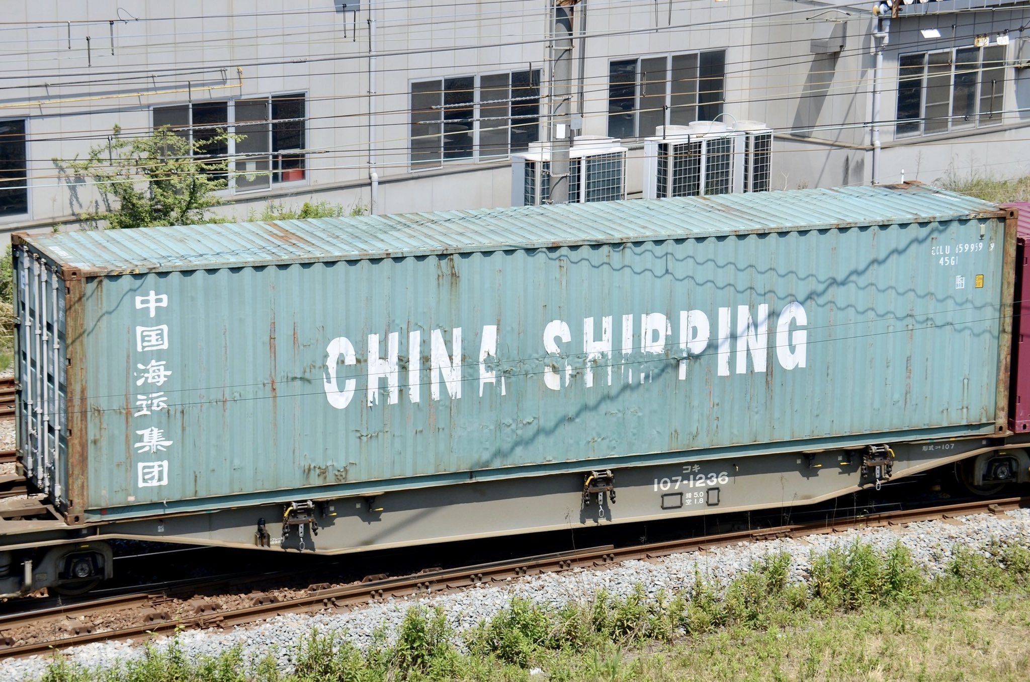 【送料関税込】中国 ARGUECULTURE POLO C2510499 Vessel Characteristics: Ship COSCO SHIPPING ORCHID