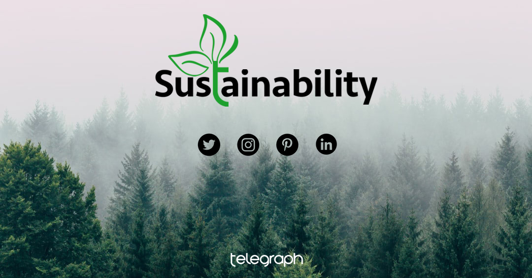 Introducing the new 'Sustainability' section of our website. This Jan we'll be showcasing sustainable products, fabrics &amp; practices ♻️bit.ly/telegraph_sust…

#telegraphfurniture #eco #ecofriendly #sustainable #interiors #interiordesign #interior #interiordesigner #furniture