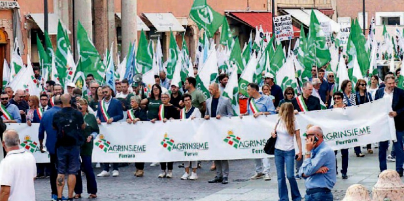 Agrinsieme's tweet photo. #CimiceAsiatica: il 30 gennaio a #Ferrara protesta degli agricoltori del Nord Italia per chiedere risposte concrete per uscire dalla crisi e ribadire il valore strategico del sistema agroalimentare. via #RestoDelCarlino e @nuovaferrara

https://t.co/8AENVarQ0z https://t.co/0HCVcIrCmF