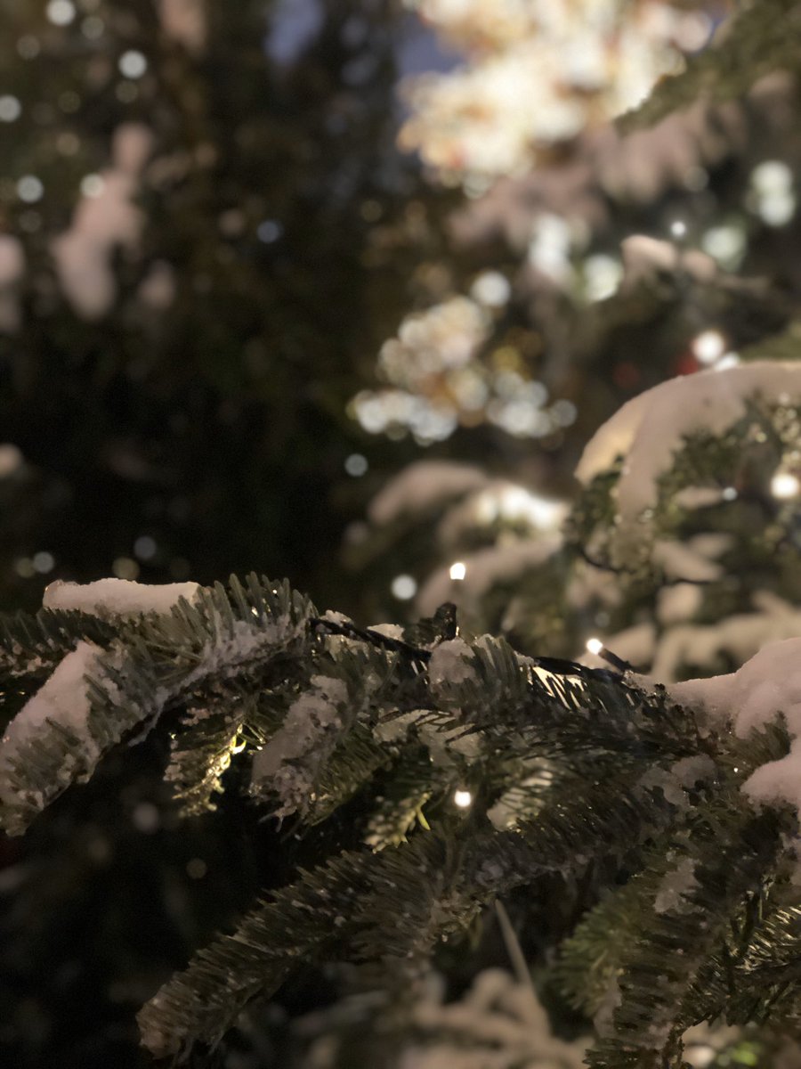 PhotoBlog11 tweet picture