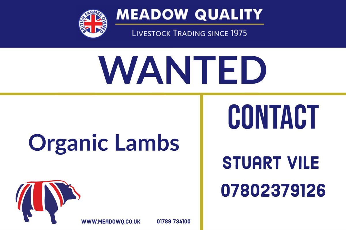 meadowquality's tweet photo. Anyone got any Organic lambs for sale🐑! Give Stuart Vile a call 📞
#livestockwanted #sheep #meadowquality #britishfarming #supportbritishfarming #backbritishfarming https://t.co/VHcnCg0q5p