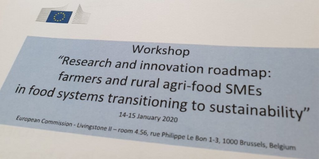 EduardoCuoco's tweet photo. Today &amp; tomorrow I am attending a workshop on #research &amp; #innovation for #farmers and #ruralareas' agri-food #SMEs in #foodsystems transitioning to #sustainability, organised by the @EU_Commission. #HorizonEurope #HEurope #EUGreenDeal #FarmToForkStrategy https://t.co/U7PpZeCdbT