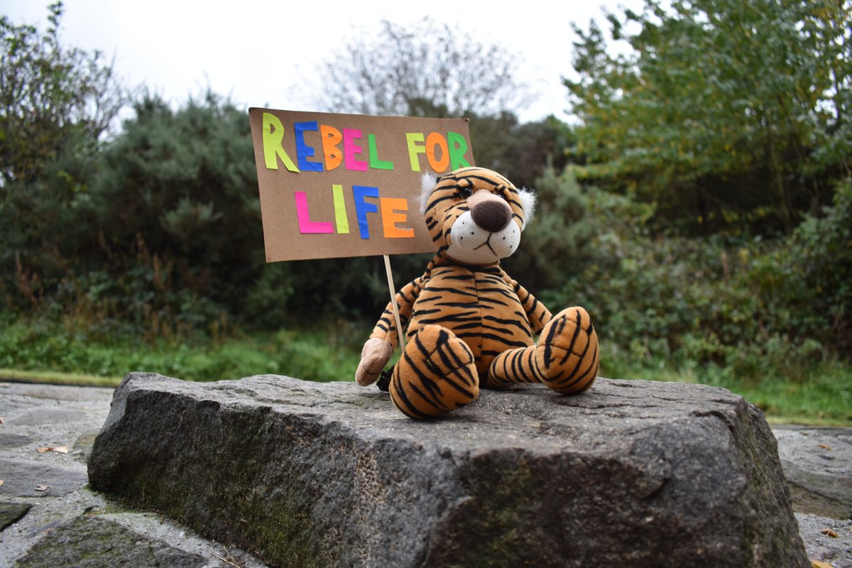 ClimatesPodcast's tweet photo. **new episode** about Extinction Rebellion, Activism and Staying Centred. 📢📢📢🌍💚 One of my faves. Have you subscribed? https://t.co/ob1cvkynFe
https://t.co/oVWyLML7Pd https://t.co/SALBs0wwzf