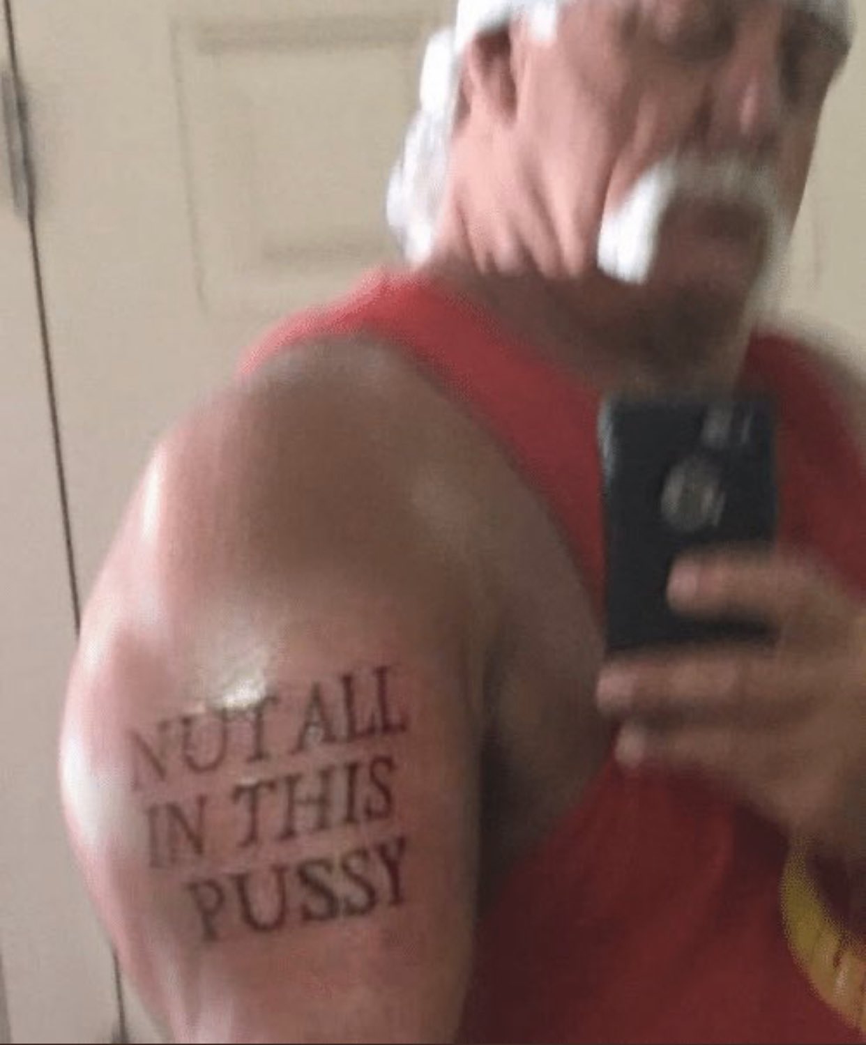 Kom op varemærke lave et eksperiment reactions on Twitter: "hulk hogan nut all in this pussy tattoo  https://t.co/R7vud6vRU6" / Twitter