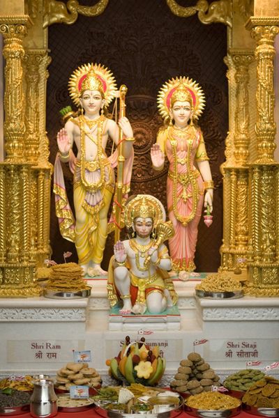 Likewise the image brought to the devotee's mind the presence of Deity and helpful for concentration especially at the beginning for his spiritual life.The Maharaja apologized to Swami ji for his rudeness.