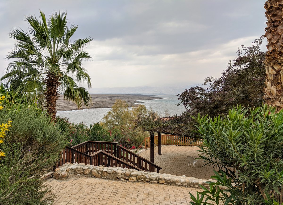 John_D_Hader's tweet photo. 2 cars + 34% salinity + dozens of camels + #ECORISK2050 = 1 awesome road trip to the #DeadSea

#MarieCurious #MSCA #PhDlife @EcoItn https://t.co/eTwserl6ic
