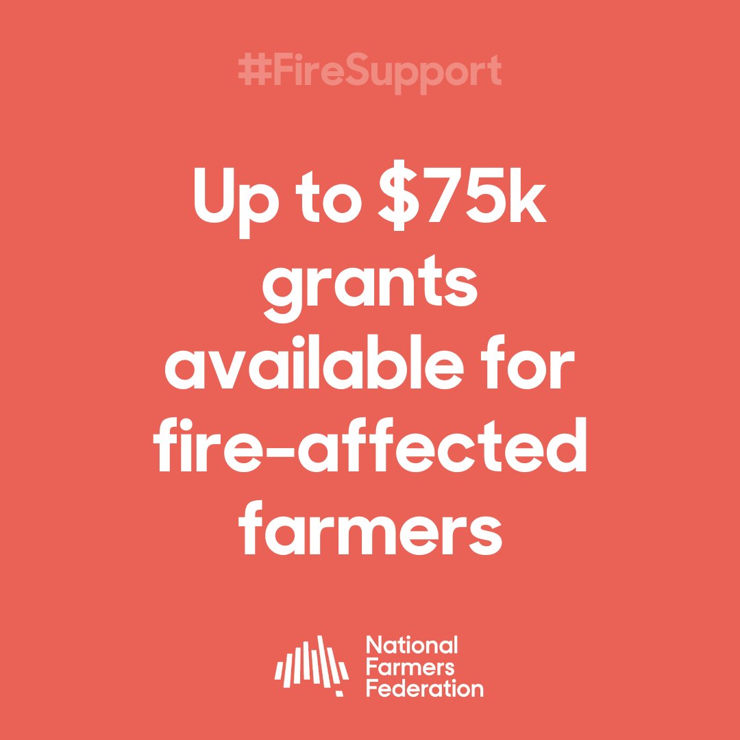 #NEWS 🗞️The Government today announced that grants of up to $75,000 will be available for fire-affected farmers. The grants will go a long way in assisting farmers to recover, rebuild, and restore productivity. Full media release 👉bit.ly/36VaHuU