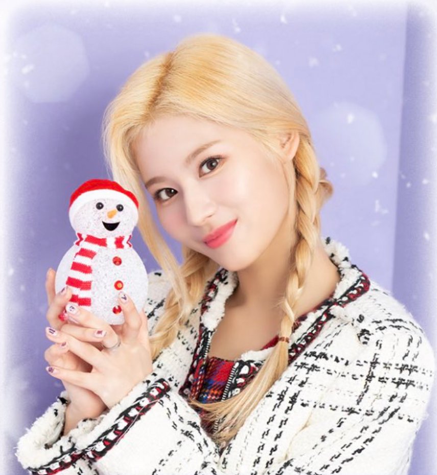 TWICE's new photos for Gogo Fightin 