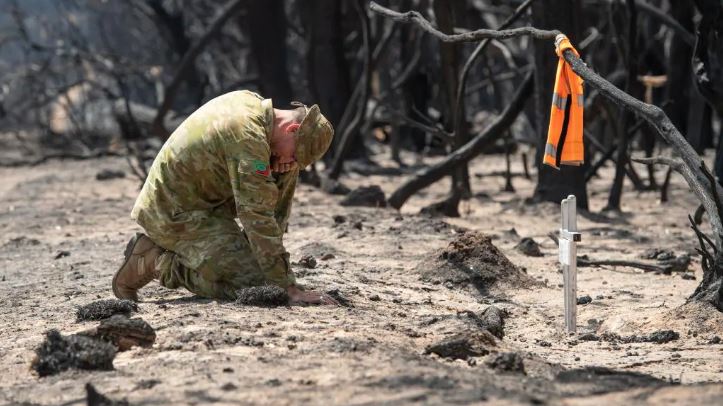 The Courier-Mail tweet media