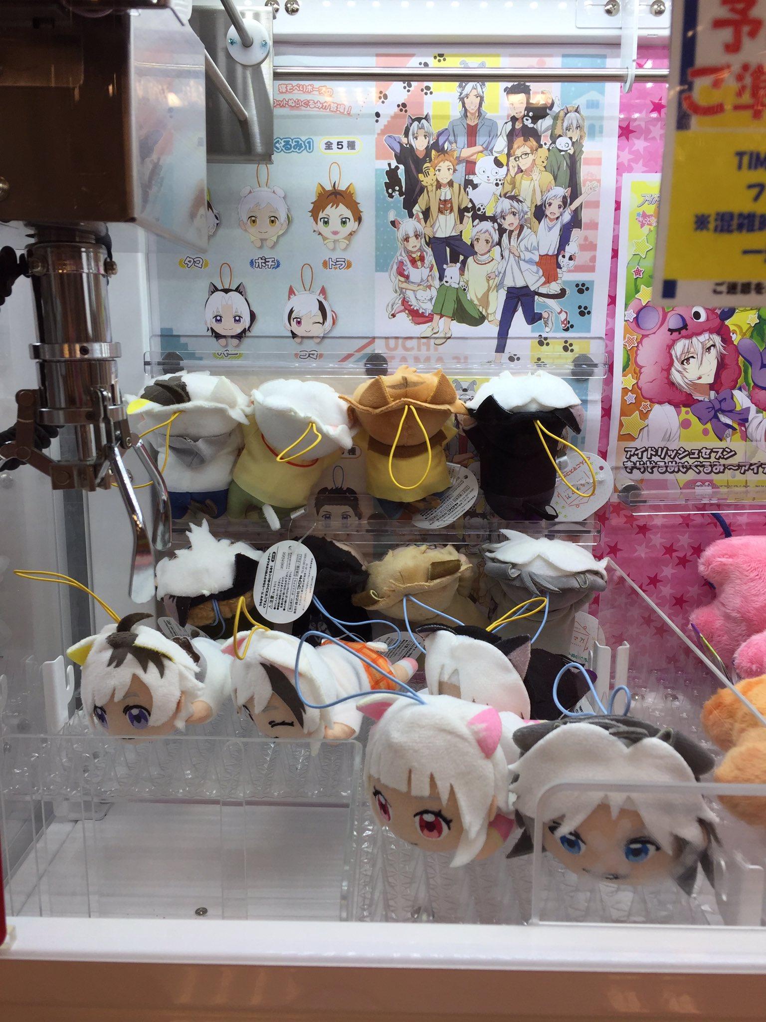 クレーンゲーム うちタマ くてんこマスコットぬいぐるみ 12が入荷しましたサガ 1play0円となっております ぜひgetして欲しいサガっ Pi 01 14 佐賀市 雑貨 アニメイト モラージュ佐賀