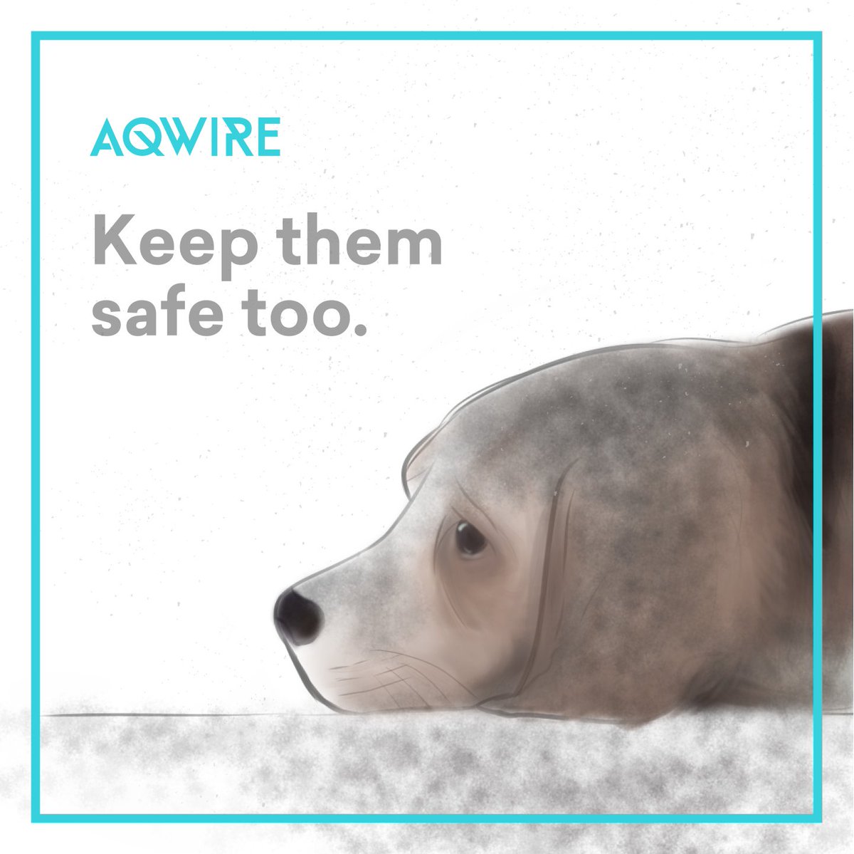 AQwireOfficial's tweet photo. Volcanic ash is harmful to humans and animals alike. Please keep your pets inside your home to protect them from breathing volcanic ash. #TaalVolcanicEruption https://t.co/Xwk3pXIOya