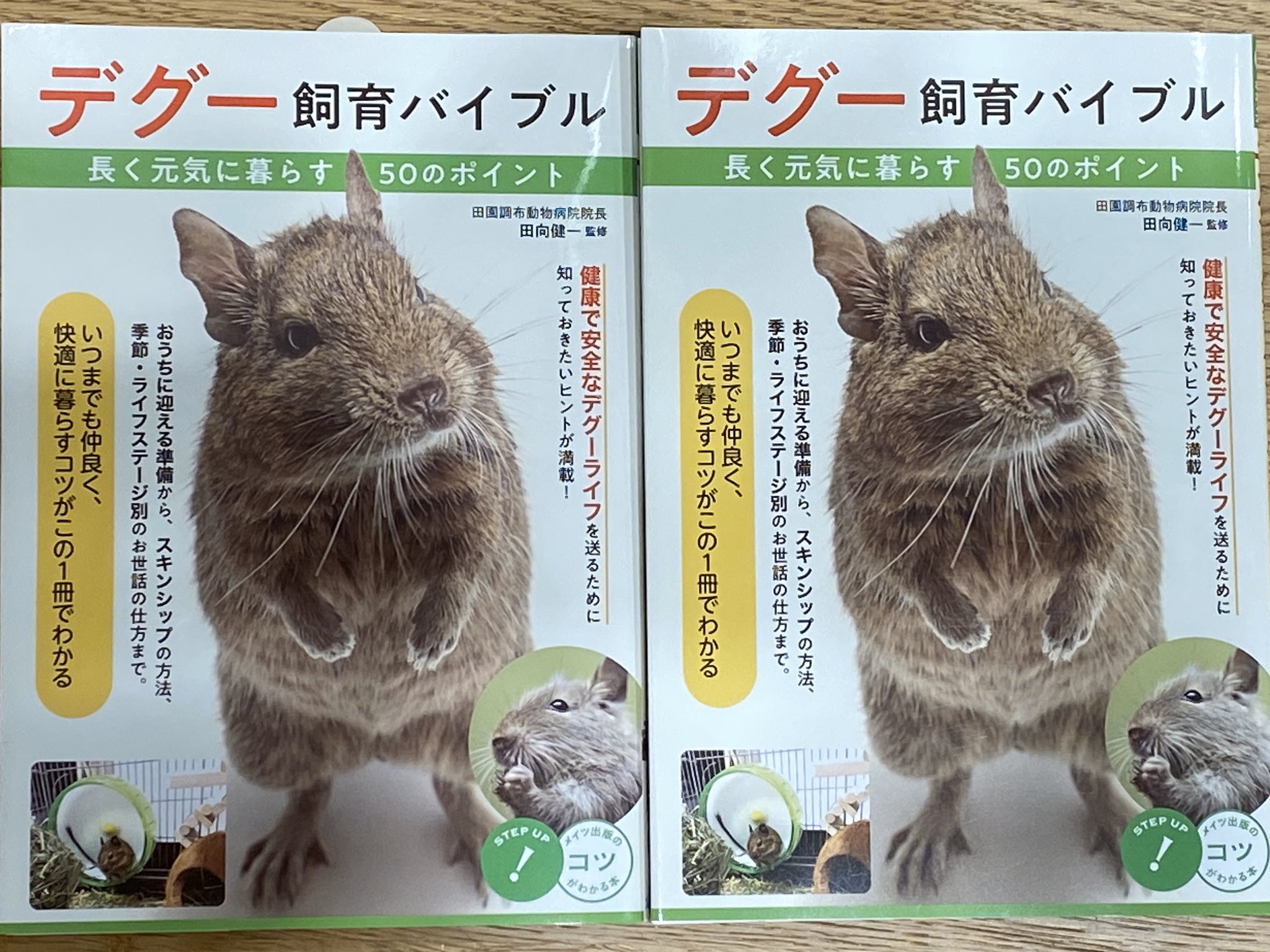 フィールドガーデン デグーを愛する皆様 お待たせ致しました 本日より デグー飼育バイブル メイツ出版 税込 1 980 販売開始です 監修は モギ男爵の数年来の友人でもある 田園調布動物病院院長 田向健一 氏 モギ男爵のコラムもあるよ