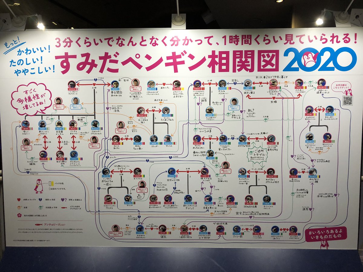 SISIoshi_46's tweet photo. スカイツリーにある水族館なんか大したことないって思ってたけど動物への愛がやばかった🙇🏻‍♂️

#すみだ水族館 https://t.co/rWshOyeGOH