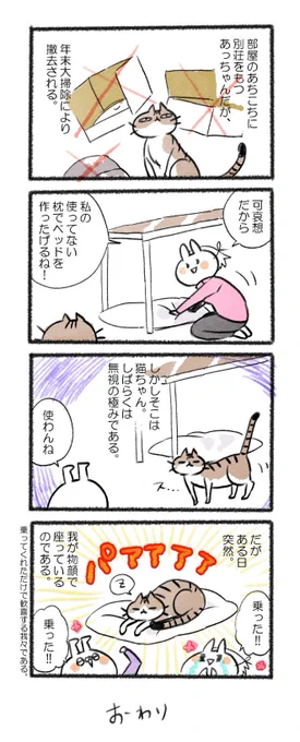 猫ちゃんあるある!!
#るーさん #るー3 #日常 #日記 #4コマ漫画  