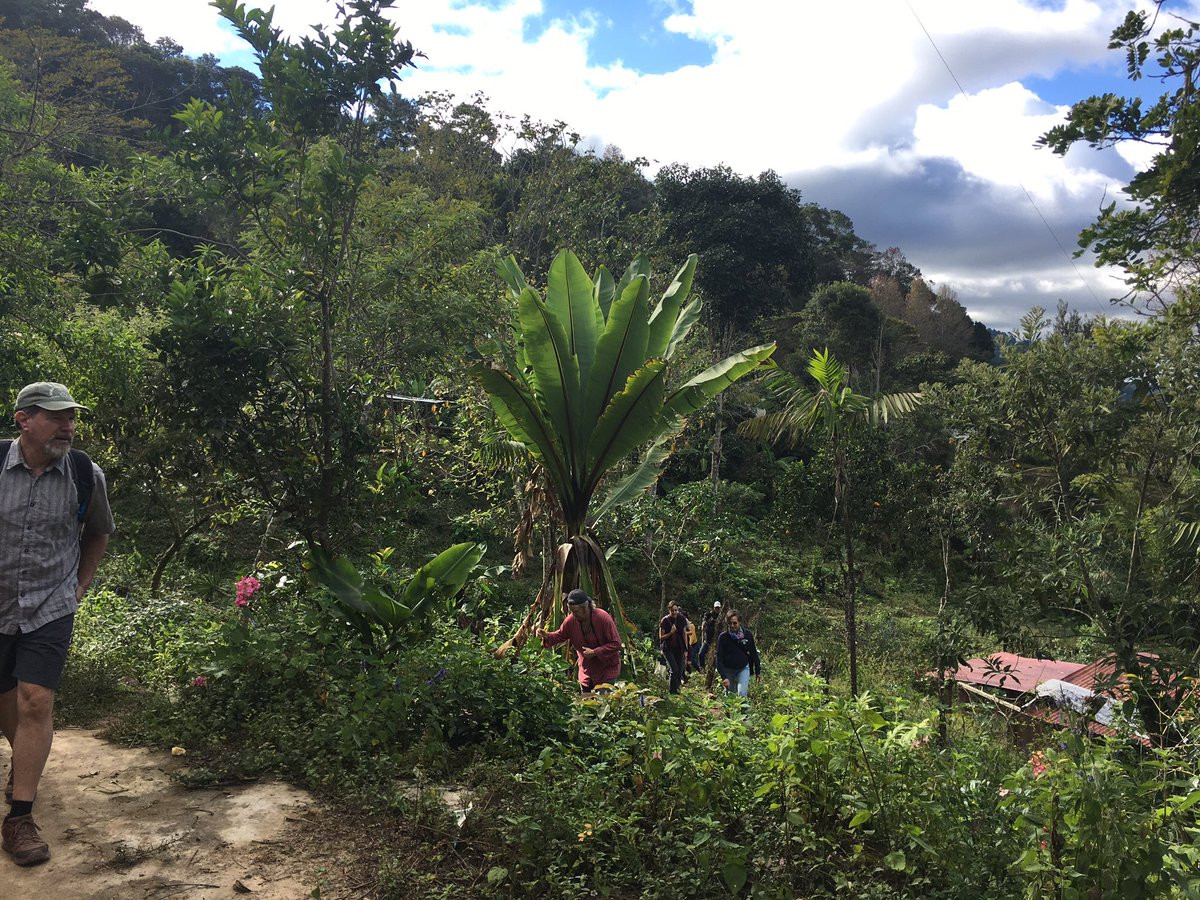 cnolin's tweet photo. 2020.01.07 @CLAGGeography #fieldtrip to Rabinal & Maya Achí territory community visit to Chich’upaq to witness Qachuu Aloom agroecology projects in action. Pride, deep knowledge, sharing beautiful vision of food sovereignty in complex Guate context #LifeAfterGenocide #LandAndLife https://t.co/wIF0mYIlZN