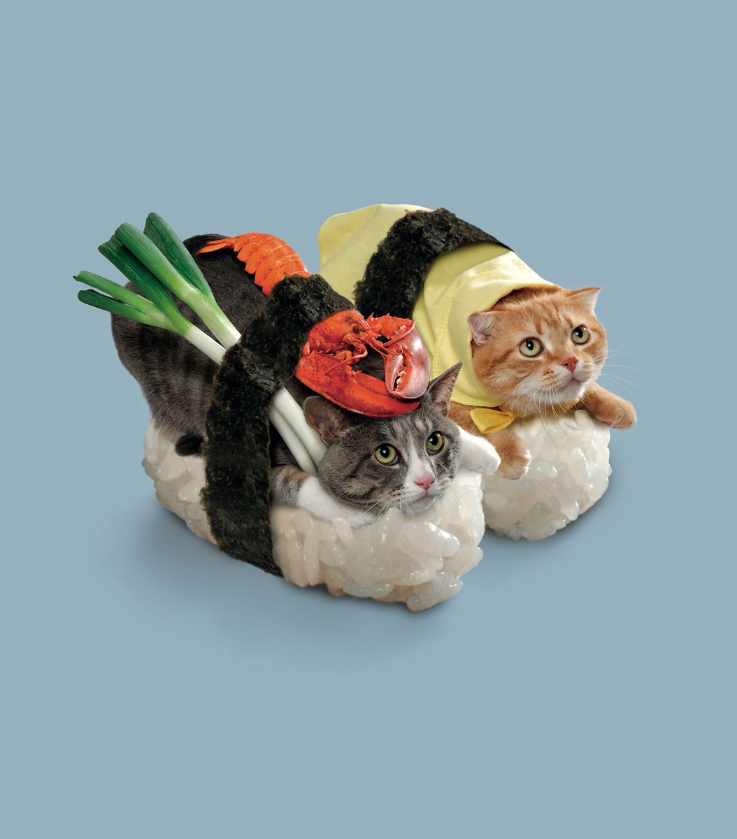 ElephantMag's tweet photo. #DressUpYourPetDay is a holiday we can get on board with.

Photograph by Tange and Nakimushi Peanuts

Hello, Kitty: Celebrating Japan’s Cat Obsession: https://t.co/0aleuAJVpV https://t.co/DjMI6Wfd8e