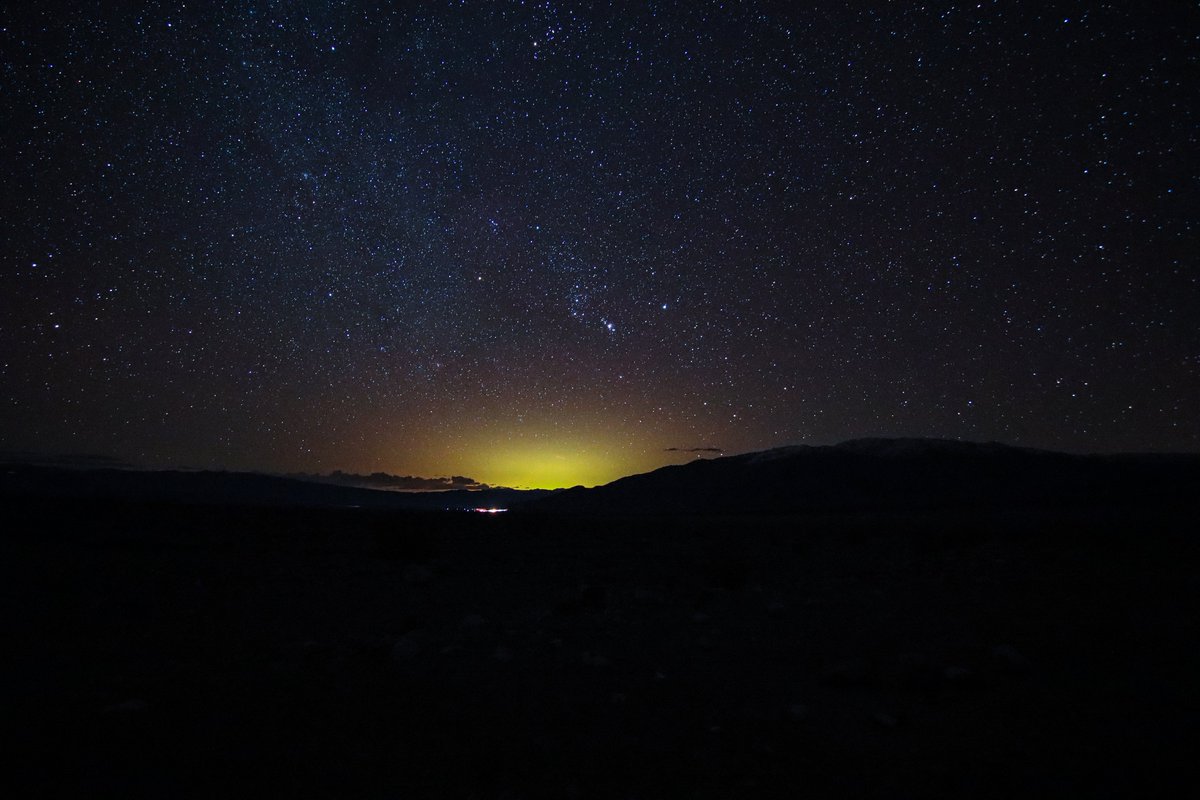 Las Vegas Locally 🌴 tweet media