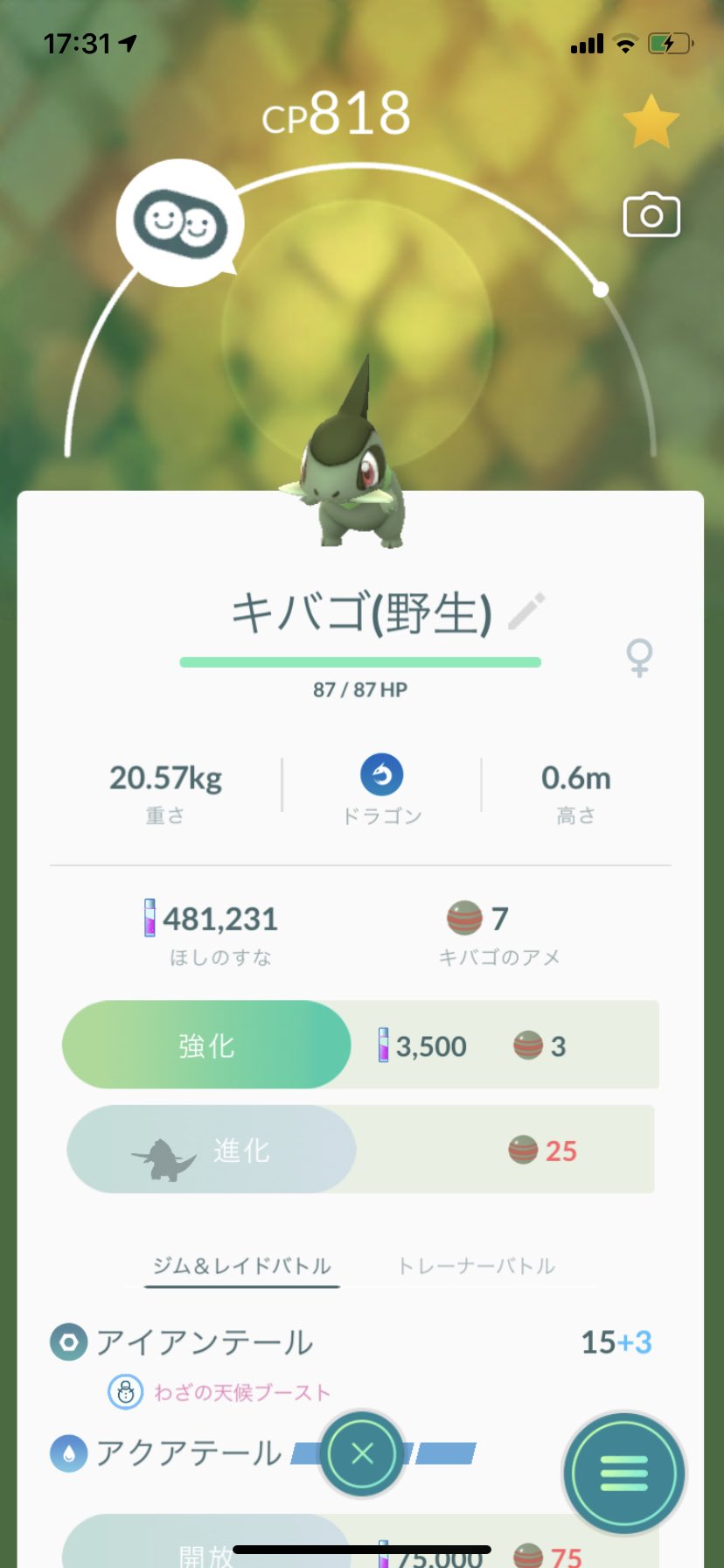わたあめ 主ポケモンgo よっしゃあ 欲しかったキバゴを野生で捕まえる事ができました ポケモンgo キバゴ T Co Kpbtw1rq9s Twitter
