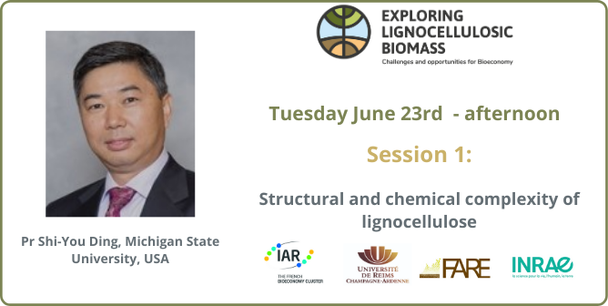 ExploreBiomass's tweet photo. Discover our first session on June, 23rd: Structural and chemical complexity of lignocellulose.

It will be chaired by Pr Shi-You Ding from the US Michigan state University.

Find out more on https://t.co/5dIcGYCldU
#Bioeconomy #Biorefinery  #Lignocellulose #Biomass #Biofuel https://t.co/fi7BPUb0zR