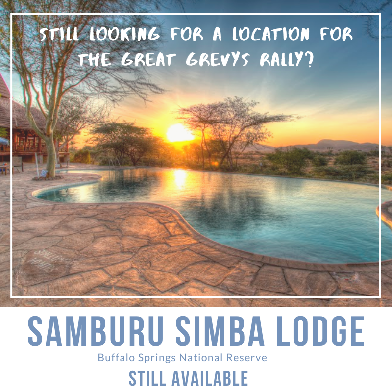 GrevysRally's tweet photo. Join us at the beautiful Samburu Simba Lodge in Buffalo Springs! Great rates, beautiful views and many Grevy’s zebra to count! What more could you want in a weekend? Get in touch with us today and book this location! #GGR2020 #greatgrevysrally #grevyzebras #earnyourstripes https://t.co/1Qp4MovGHs