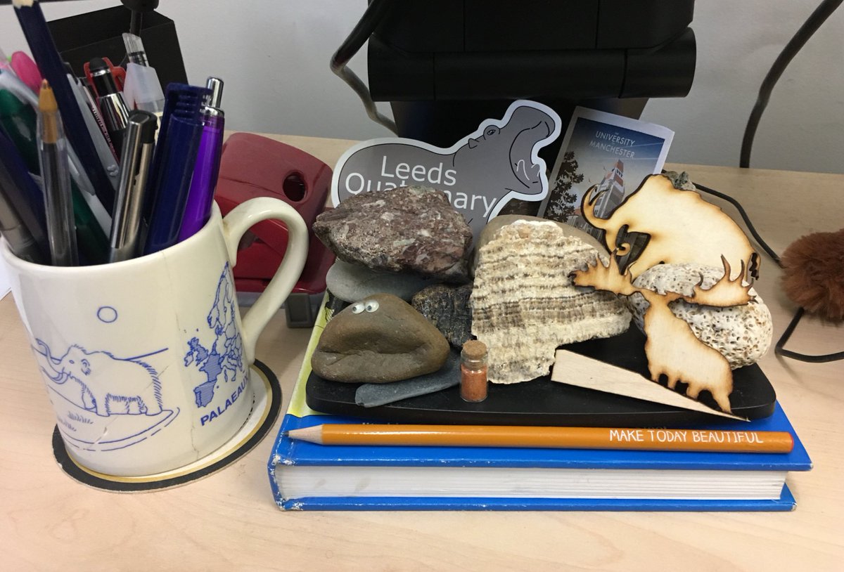 The #LeedsHippo <a href="/QRALeeds2020/">QRA Leeds 2020</a> is making an appearance, having joined the collection of #Quaternary mammals &amp; interesting rocks!