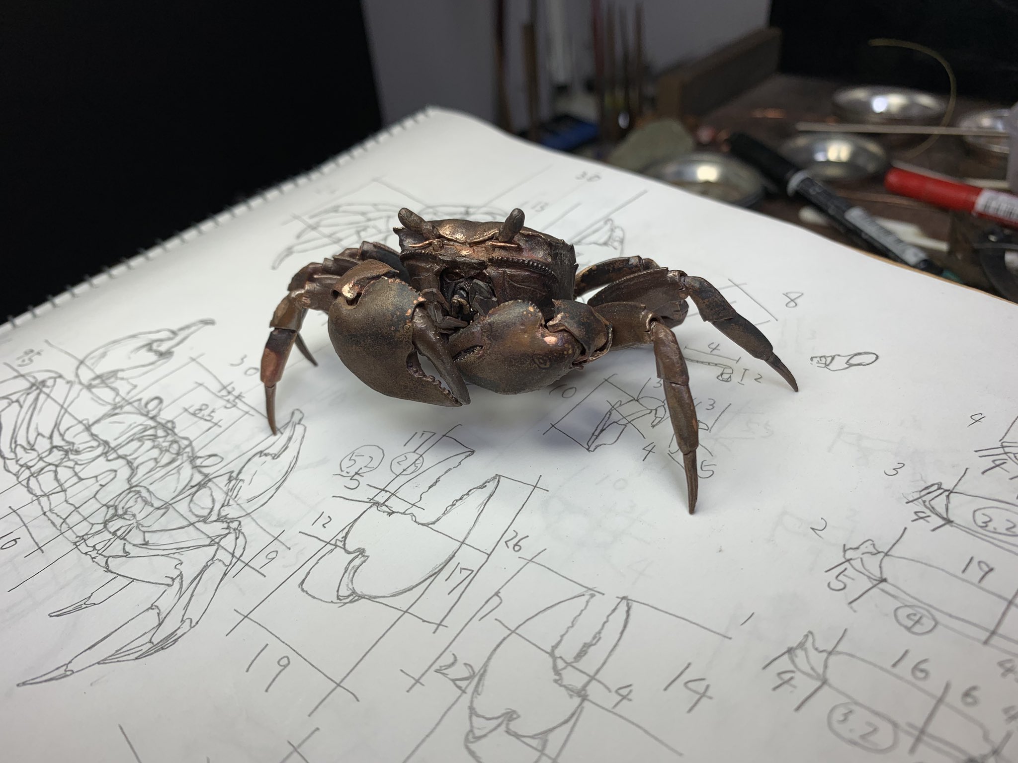 満田晴穂 on Twitter: "葦原蟹仮組み カニ！カニ！カニ〜〜🦀 やっぱカニは楽しいですな。… "