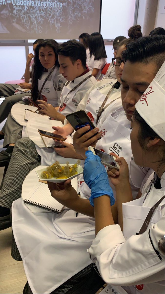 bculinary's tweet image. La investigadora de BCulinaryLAB @NovalBlanca ofrece un taller monográfico sobre #plantassilvestres en el encuentro gastronómico #LatitudCero2020 de Ecuador. #EmpoderamientoMujer