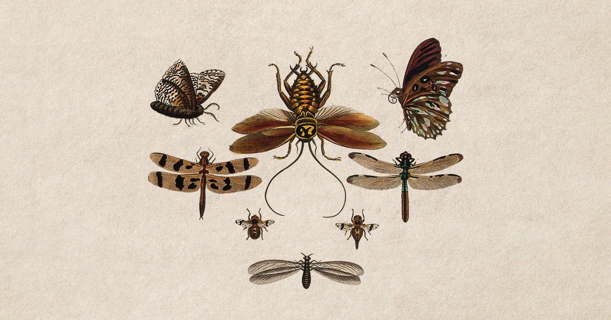 «Il mare era un immenso libro di entomologia, sbagliato dalla prima all’ultima pagina». 

Per il #raccontodelmartedì, #Pluvia di Beatrice La Tella. Buona lettura!
👉👉👉bit.ly/Racconto_Pluvia