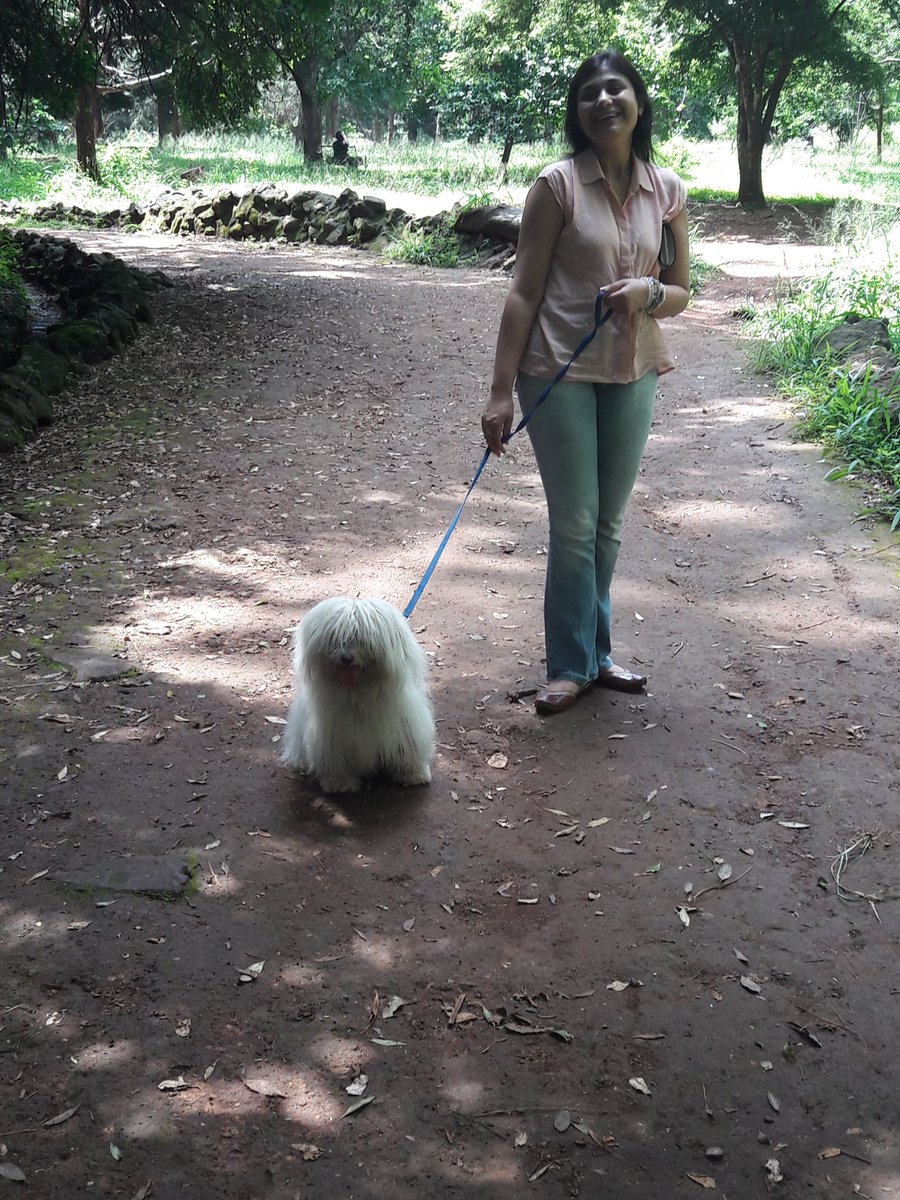 Hashmigor's tweet image. When you can't wait to go for that unexpected walk in Africa!!! 😄 #dogwalking #CutePuppy #dogsofinstagram #dogwalker