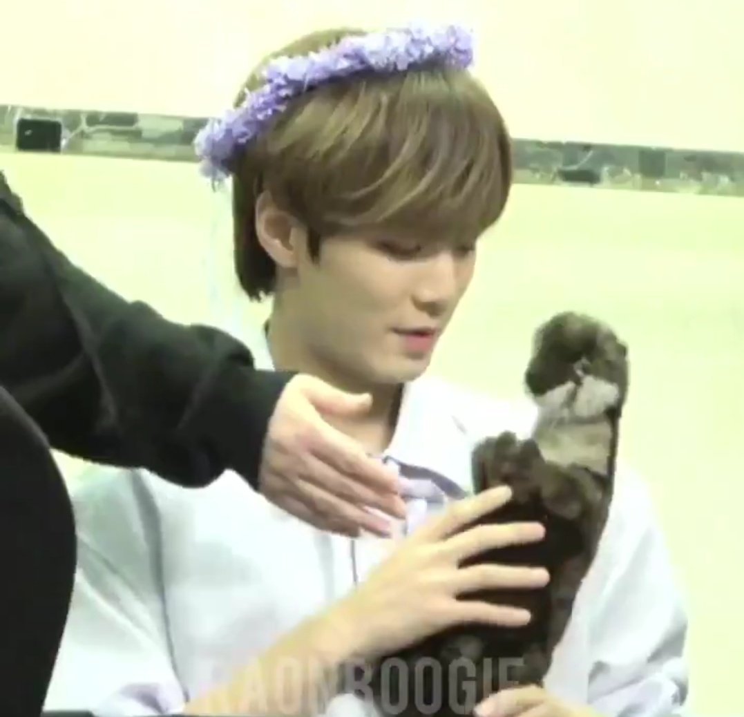 설 전에 저렇게 교대로 브이앱하는거보니 왜 어른들이 명절에 자식들 언제오나 기다리는지 알겠네.. 내년엔 축복이도 데려와 애들아