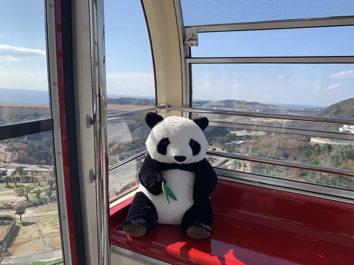 秋葉東子 アドベンチャーワールドの観覧車に1人で座ると 問答無用でパンダと個人面談になる T Co Dkfnn58xif Twitter