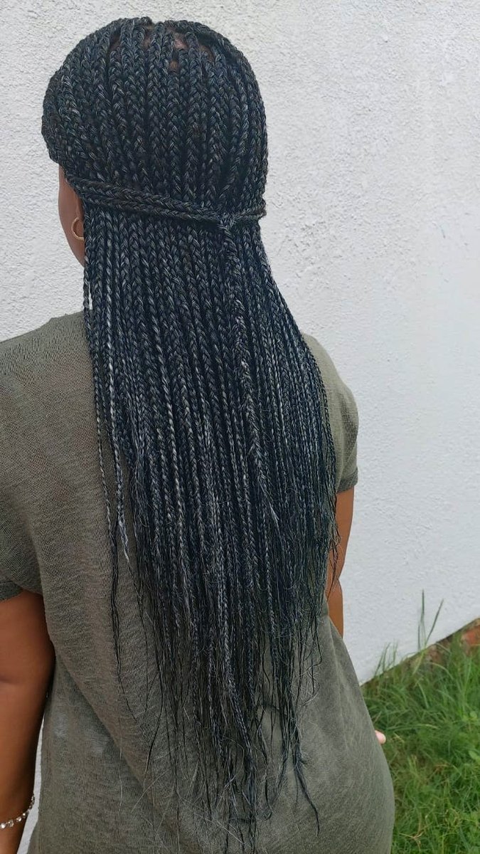 la_naturalia2's tweet photo. First protective style of the year.😎

I am enjoying the colors and feel of the hair piece. I am. Holoping it lasts for atleast 4 weeks.

I was done by @dee_beauty_den

#protectivestyleshair #boxbraidscolors #ombrebraids #greybraids https://t.co/fpxhr5w4N4