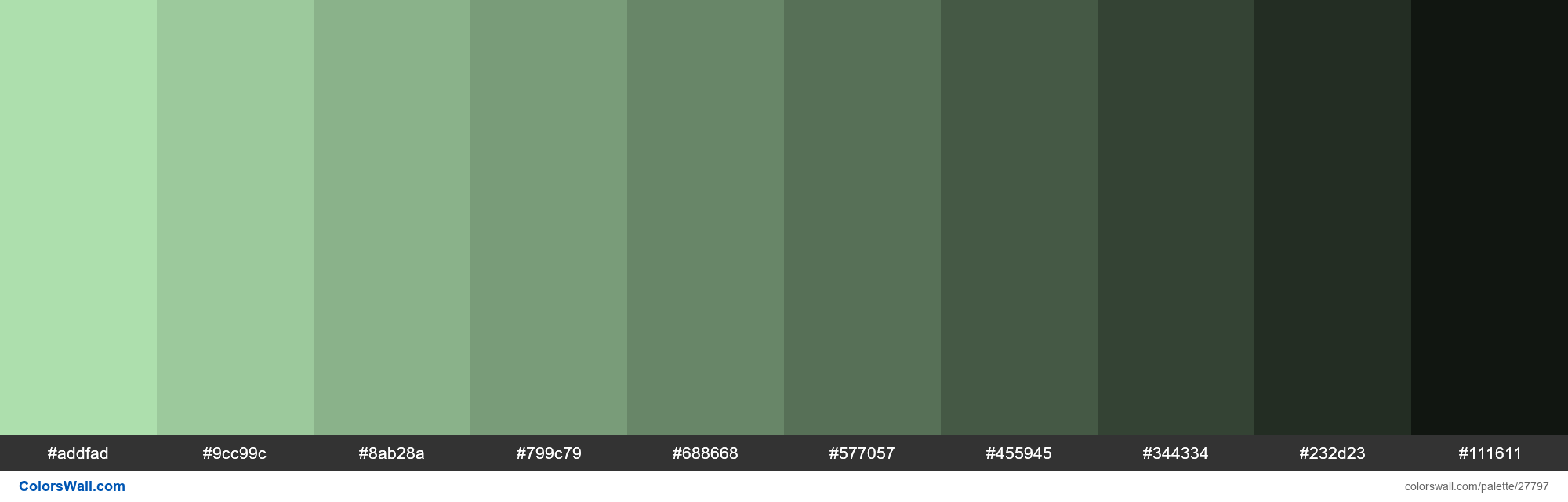 colorswall on X: Shades of Moss Green color #ADDFAD hex #addfad, #9cc99c,  #8ab28a, #799c79, #688668, #577057, #455945, #344334, #232d23, #111611  #colors #palette   / X