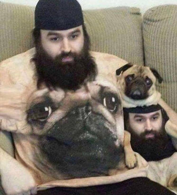 sockssmile's tweet photo. Why not get some matching socks for you and your dog?!
#funny #sockssmile #personalised https://t.co/YX2WaN1IS6